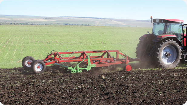 25 Плуг чизельный «CHIZELMASTER»