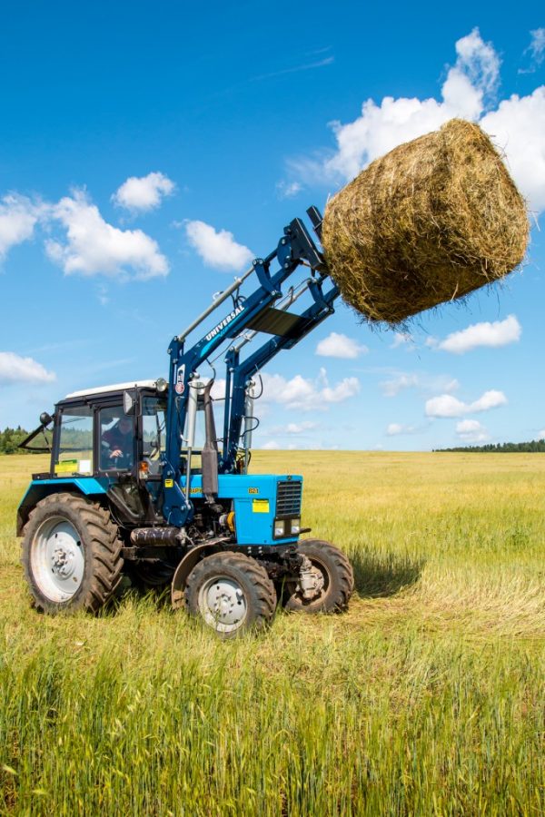 ВИЛЫ УНИВЕРСАЛЬНЫЕ С РЕГУЛИРУЕМОЙ ЦЕНТРАЛЬНОЙ ПИКОЙ